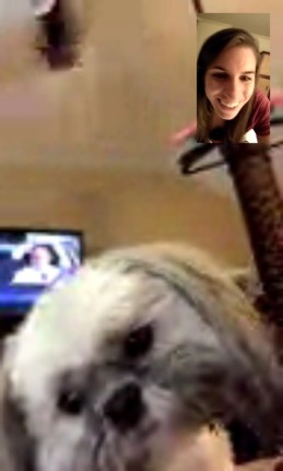 orca-snapshot-1509675750865.jpg_1509675750996